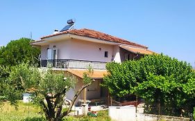 Anesis Home.